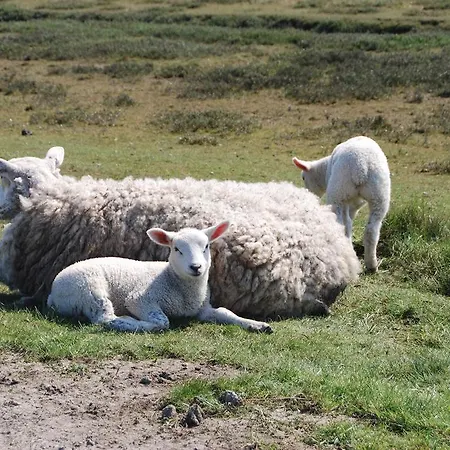 Apartamento Lindenhof *