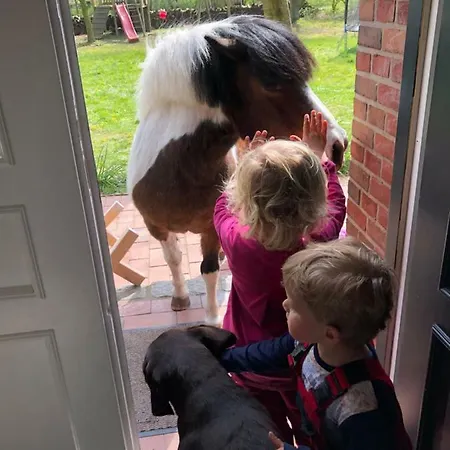 Lindenhof Tinningstedt