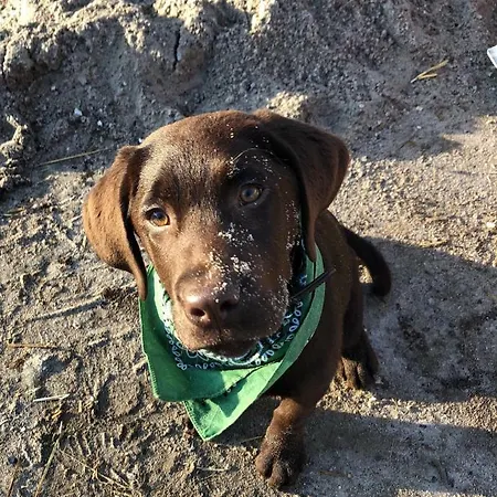 Apartamento Lindenhof