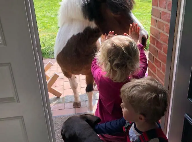 Lindenhof Tinningstedt