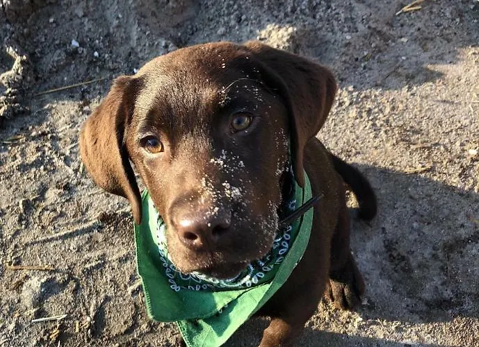 Apartamento Lindenhof